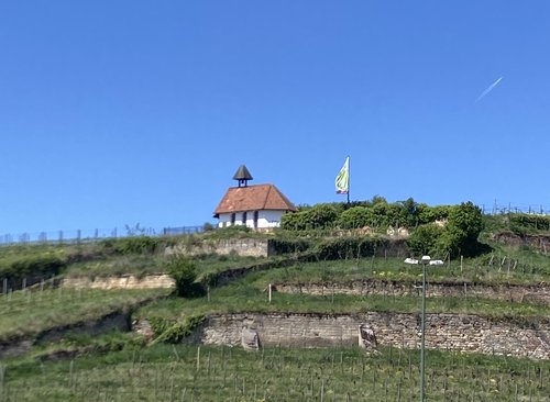 Eine Grafik von Kultur- & Weinbotschafter