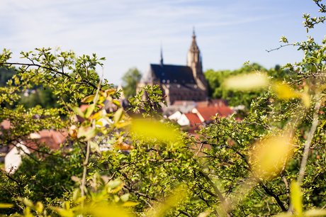Eine Grafik von Kultur- & Weinbotschafter