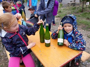 Kinderwingert in Trittenheim: Nach der Lese Kinderwingert in Trittenheim: Nach der Lese