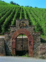 Das Eingangstor zum Maximin Grünhäuser Herrenberg In historischen Zeiten kommt man nicht so einfach in den Weinberg.
