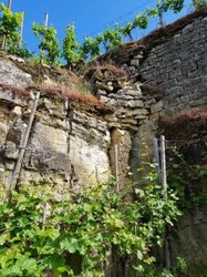 Wehrer Rosenberg Die Terrassen machen ihn besonders: Wehrer Rosenberg am Seitensprung