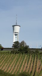 Eine Grafik von Kultur- & Weinbotschafter