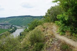 Auf dem Weg zum Hinkelstein Eselstratt Es geht um Megalithen, Klöster und Kirchen bei dieser Tour in Trittenheim.