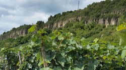 Kalkfelsen in Nittel Eine Grafik von Kultur- & Weinbotschafter