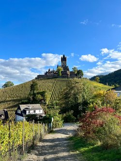 Panoramablick mit Burg Eine Grafik von Kultur- & Weinbotschafter