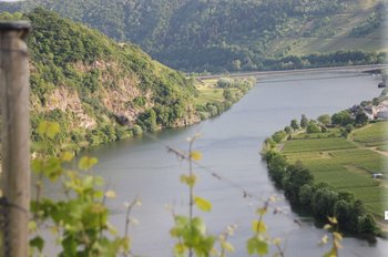 Moselmäander Eine Grafik von Kultur- & Weinbotschafter