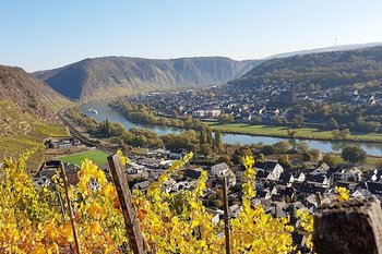 Terrassenmosel Die Terrassen am Unterlauf der Mosel sind landschaftsprägend und sehr alt.