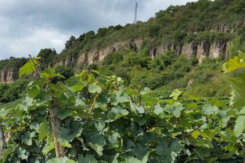 Kalkfelsen in Nittel Eine Grafik von Kultur- & Weinbotschafter