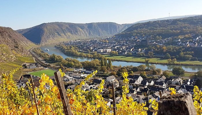 Die Terrassen am Unterlauf der Mosel sind landschaftsprägend und sehr alt. 