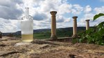 Eine Grafik von Kultur- & Weinbotschafter