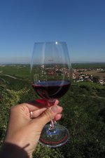 Eine Grafik von Kultur- & Weinbotschafter
