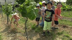 Eine Grafik von Kultur- & Weinbotschafter