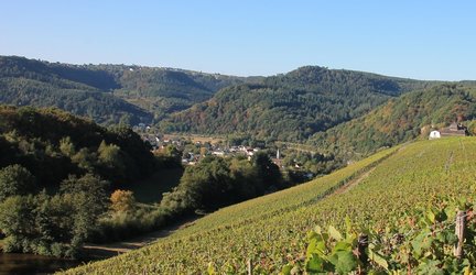Tour zum Saarwein, Schloß Saarstein Tour zum Saarwein