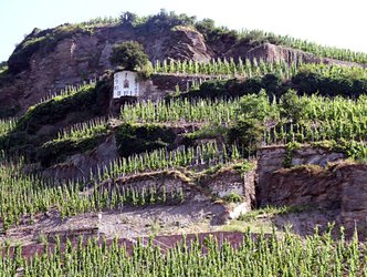 Wehlener Sonnenuhr Die Wehlener Sonnenuhr kommt bei dieser Tour von und mit Christel Bergweiler groß heraus.