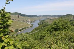 Blick von Wincheringen ins Tal der Mosel Weiter Blick und sanfte Hügel an der südlichen Weinmosel