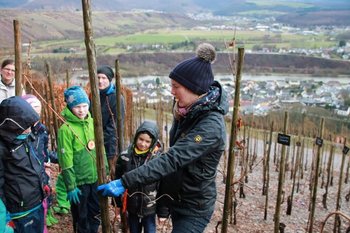 Kinderwingert Saarburg: Binden des traditionellen Moselherzes Eine Grafik von Kultur- & Weinbotschafter