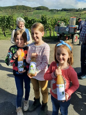 Trittenheim 2022_Fertiger Traubensaft Eine Grafik von Kultur- & Weinbotschafter