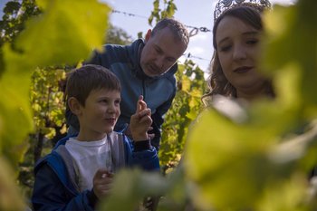 Traubenlese Trier - Weinkönigin und Vater Eine Grafik von Kultur- & Weinbotschafter