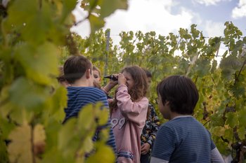 Traubenlese 2022 - Clara Refraktometer Eine Grafik von Kultur- & Weinbotschafter