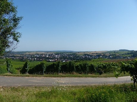 Eine Grafik von Kultur- & Weinbotschafter