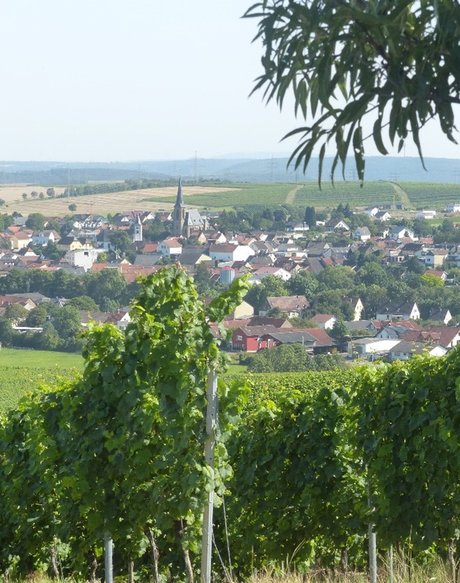 Eine Grafik von Kultur- & Weinbotschafter