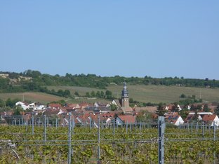 Eine Grafik von Kultur- & Weinbotschafter