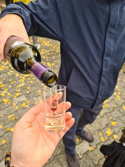 Eine Grafik von Kultur- & Weinbotschafter